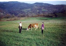 Резултат слика за rudnik planina