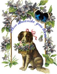 Résultats de recherche d'images pour « gif bon dimanche »