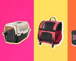 different types of cat carriersの画像