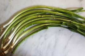 bunch of young green garlic - Kitchen Gatherings