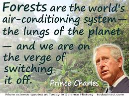 Rain Forest Quotes - 14 quotes on Rain Forest Science Quotes ... via Relatably.com