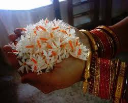 Image result for images of parijata flower