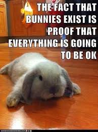 Image result for ok good meme
