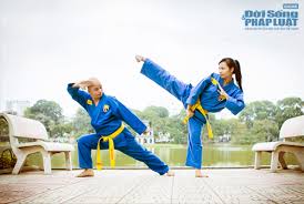 Kết quả hình ảnh cho hình ảnh võ thuật