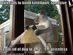 Crazy Funny Quotes About Dogs. QuotesGram via Relatably.com