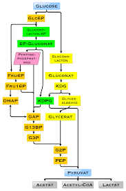 https://encrypted-tbn3.gstatic.com/images?q=tbn:ANd9GcQzL5zUFOIncgXonYk5OZBt9n6cI40No9hv0wrWjpj3BNNvv7-9