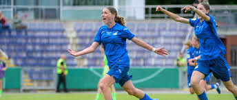 TSG Hoffenheim - News update