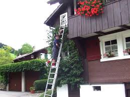 Bildergebnis für Fensterln