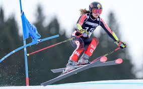 Trend Google: shiffrin