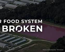 Image of broken food system