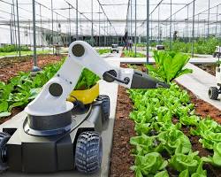 Image of Agricultural robots