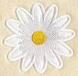 Daisy applique