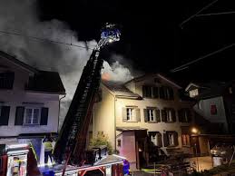 Katze aus Flammen gerettet: Dachstuhlbrand in Herisau richtet 100.000 Franken Schaden an