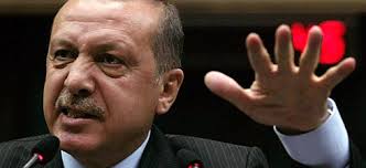 Risultati immagini per erdogan