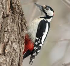 images?q=tbn:ANd9GcR--ZItXl-8Rw32ShGx8cM4-D4mXKm-803iOApsgGB_EqAzB2nn