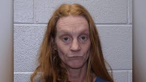 15 animals seized after deputies find dead dogs, 'deplorable ...