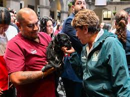 Edomex va por sanciones más duras: Se acabo venta de perros y gatos