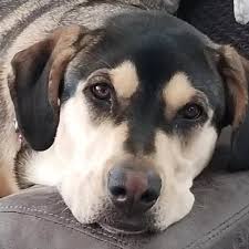 Câu hỏi nhanh cho tài khoản threads yêu thích của tôi, @tsa ...