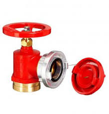 Fire Landing Valves