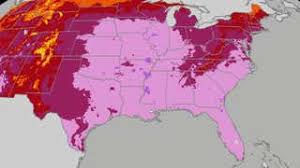 The Weather Channel - News update