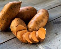 Image of سیب زمینی شیرین