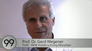 <b>Gerd Wegener</b> (TUM - HFM Holzforschung): 99 seconds for the future of <b>...</b> - vlcsnap-2011-09-06-18h39m43s254