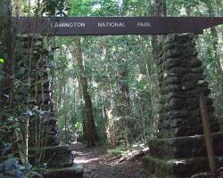 Lamington National Park, Gold Coast, Queensland, Australia
