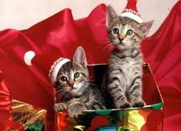 images?q=tbn:ANd9GcR-LznLJF0IvCOVY4xolNV