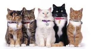 R&eacute;sultat de recherche d'images pour 