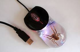 Hasil gambar untuk mouse