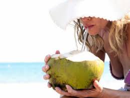 Image result for pic of coconut