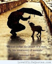 Philosophy - Kant on Pinterest | Wisdom, Quote and Quotes About Life via Relatably.com