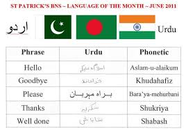 英和画像辞典：(urdu language)の意味は画像で解説！見るだけで「urdu language」の意味が分かる・覚えられる 