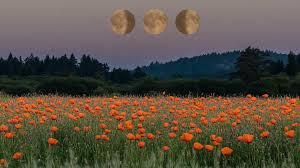 Luna hoy, miércoles 28 de octubre: 