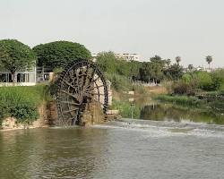 Image of نهر العاصي