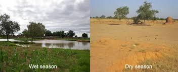 Resultado de imagem para dry season and wet season