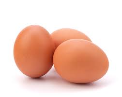 Image result for egg