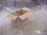 images?q=tbn:ANd9GcR095_fF1uTdRLmxYQkB19DvO2l5_TqlRfEpNjSK77zSKbm-D0ZkFGX7o-rVA