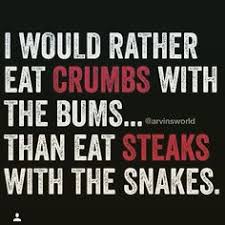 Image result for bitches in heat, snakes in grass