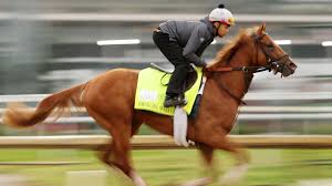Kentucky Derby Preview: Longshot To Consider Stream of Horse Racing