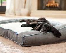 Image of Frisco Plush Orthopedic Front Bolster Bed
