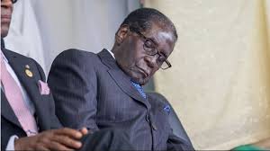 Image result for mugabe