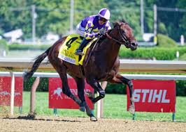 'Rising Star' Englishman Turns Jerkens Into One-Horse Affair