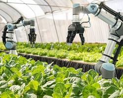 Image of Automated greenhouses