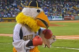 Resultado de imagen para fotos de jochy taveras el aguilita
