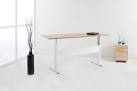 Stadning desk Sydney