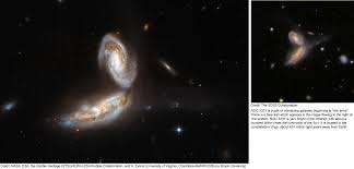Image result for ngc 1566