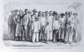 Image result for INDENTURED=SLAVE INDIAN images