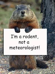 Image result for it's groundhog day