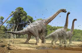Resultado de imagen para imagenes de dinosaurios